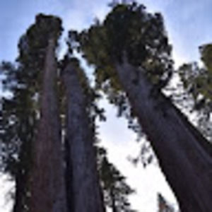 Meet your Posher, Alejandra